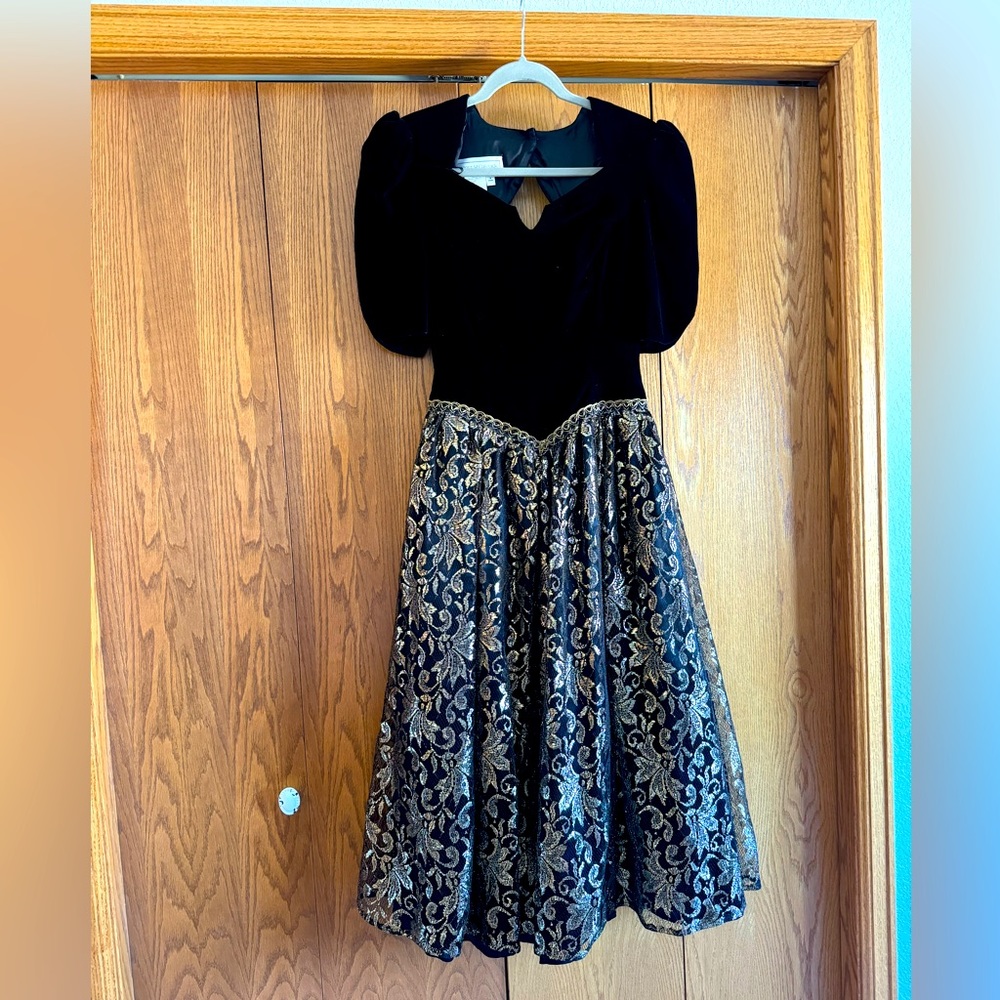 Scott McClintock Vintage Party Dress